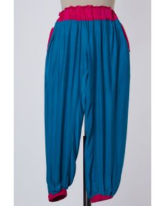 Blue Color Blocked Pants